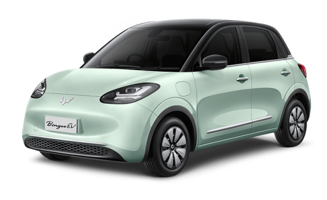 WULING BINGUO EV STANDARD RANGE DC