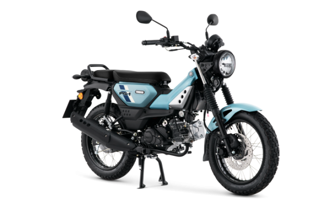 YAMAHA PG-1